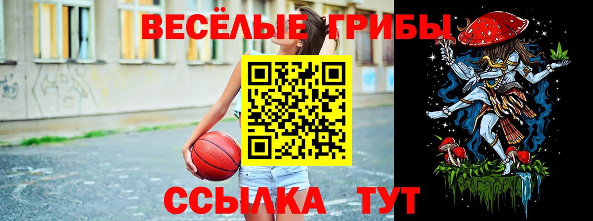 Галлюциногенные грибы мухоморы Кимры